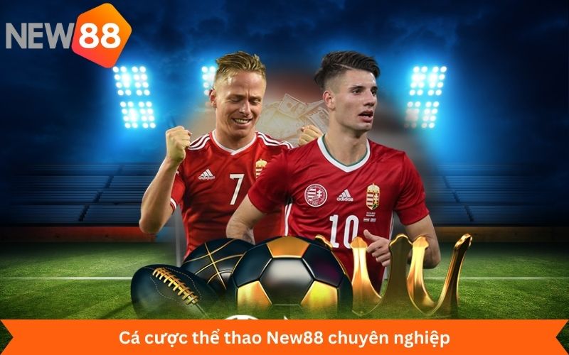 Cá cược thể thao New88 chuyên nghiệp