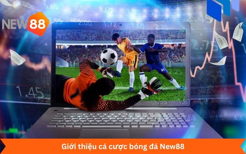 Giới thiệu cá cược bóng đá New88