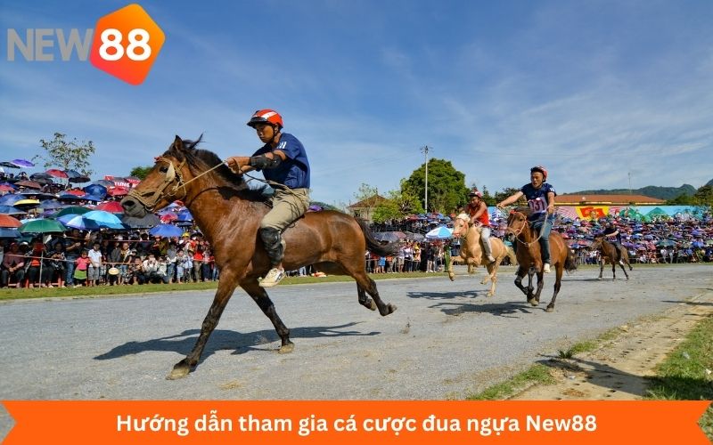 Hướng dẫn tham gia cá cược đua ngựa New88