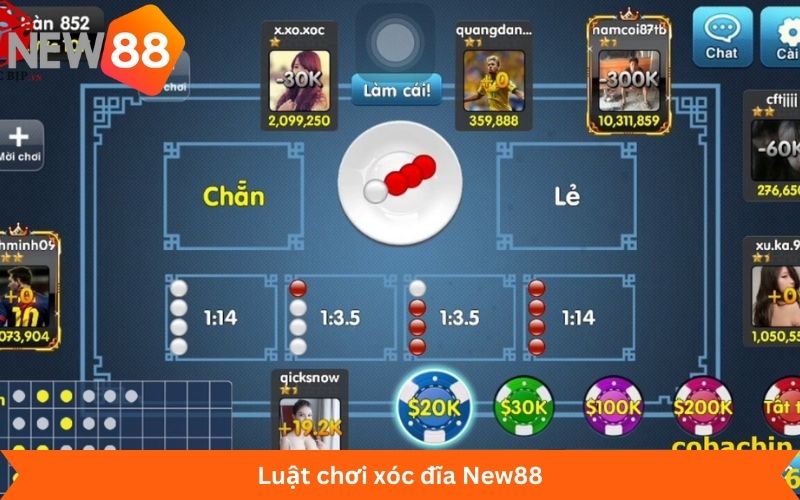 Luật chơi xóc đĩa New88